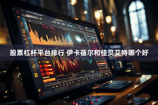 股票杠杆平台排行 伊卡蓓尔和佳贝艾特哪个好