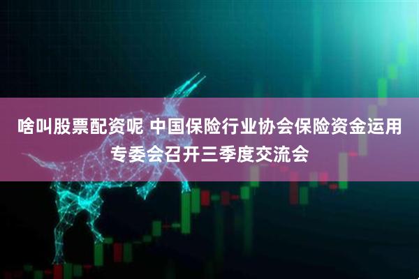 啥叫股票配资呢 中国保险行业协会保险资金运用专委会召开三季度交流会